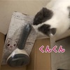 猫用ブラシを買いました