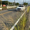 夏草の揺れてゆさゆさ右左(あ)
