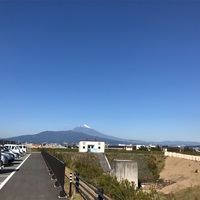 伊豆のわさびソフトクリーム。