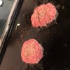 那須モンゴリアビレッジ テンゲル｜高久｜ドライエイジング粗挽き肉☆少し