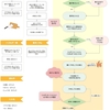 中学生からはじめるフローチャートの作り方～料理の手順編～ 