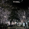 今年初クリスマスツリー発見！！