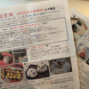 新宿高島屋『京都航空便』レポ。京都の有名和菓子を東京で！行列や混雑の状況まとめ。