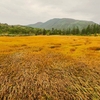 神仙沼（北海道共和）