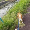 雨の日は久し振りにトヨタ博物館へ。