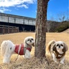 今年1番のお気に入りの公園