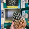 【石垣島グルメ】パイナップルの種類って複雑～私はサンドルチェとハワイかな Pineapple varieties are complicated  , Ishigaki, Okinawa