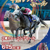 【千葉サラブレッドセール2020(2歳)】の「上場馬名簿」が発行!