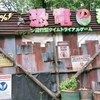 恐竜の森 答え