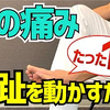 膝の痛みの原因は母趾にある。1分で改善するストレッチ　｜京都市北区　もり鍼灸整骨院