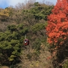 兵庫旅行②～兵庫で空中散歩　その１～