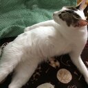 ponpondog’s blog