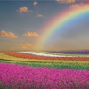 虹色の夢