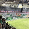 【ブラジル】顔パスで入場⁉︎ パルメイラス戦＠アリアンツパルケ