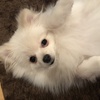 VMware Cloud on AWSのサイジング②