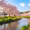 学んでも忘れてしまうあなたへ。記憶に残る学びのつくり方