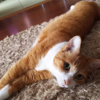 ひより、初めての里帰り。