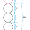 ～人物～　頭身と年齢の関係性