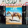 「LIFE」 なんてことない日常に涙する