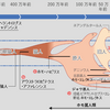 ヒトへの進化（顔はどう変わったか）