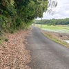 1年ぶりの師戸川を走る