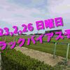 2023,2,26 日曜日 トラックバイアス結果 (中山競馬場、阪神競馬場、小倉競馬場)