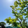 私は読書感想文を書くのが嫌いだった・・・2022年４月の読書記録