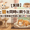 【実録】犬と猫を同時に飼う注意点。ポメ柴と元保護猫が快適に暮らす3つの共生鉄則