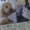 犬と猫のいる暮らし