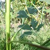 少しずつ、秋