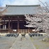 立本寺のしだれ桜が満開、見頃だったので撮影【2019年】