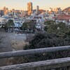 予測不能だから魅力的なJリーグの応援