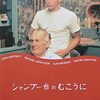 1241. シャンプー台のむこうに