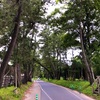 旧東海道歩き旅 ⑲【愛知 吉田〜赤坂】