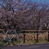 ”東京”を廻る