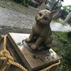 迷子猫探し：「猫返し」で有名な神社にお参りする（東京・立川「阿豆佐味天神社 立川水天宮」）<編集後記No.11>