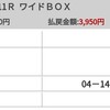 2022年 菊花賞を振り返る