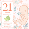 第二子妊娠:21w0 主人が胎動を感じる