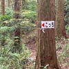 10ヶ月ぶりの低山登り　　No.368