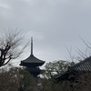 京都にいます