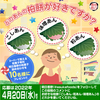 柏餅を含む明日香野和菓子が当たる！「どのあんの柏餅が好きですか？」キャンペーン開始！