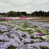 富田さとにわ耕園　(千葉市富田都市農業交流センター)　その五