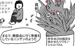 記事を見る