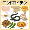 コンドロイチンに関する雑学！