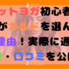 【お得情報も！？】ホットヨガ初心者の私がカルドを選んだ6つの理由！実際に通った感想・口コミを公開！