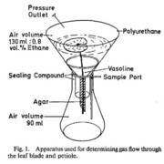 アサザ基金の欺瞞 カテゴリーの記事一覧 Limnology 水から環境を考える