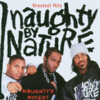 今日の１曲【Naughty by Nature - Hip Hop Hooray】