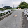 歩きたくなーい