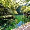 出流原弁天池（栃木県佐野）