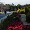 大阪城公園